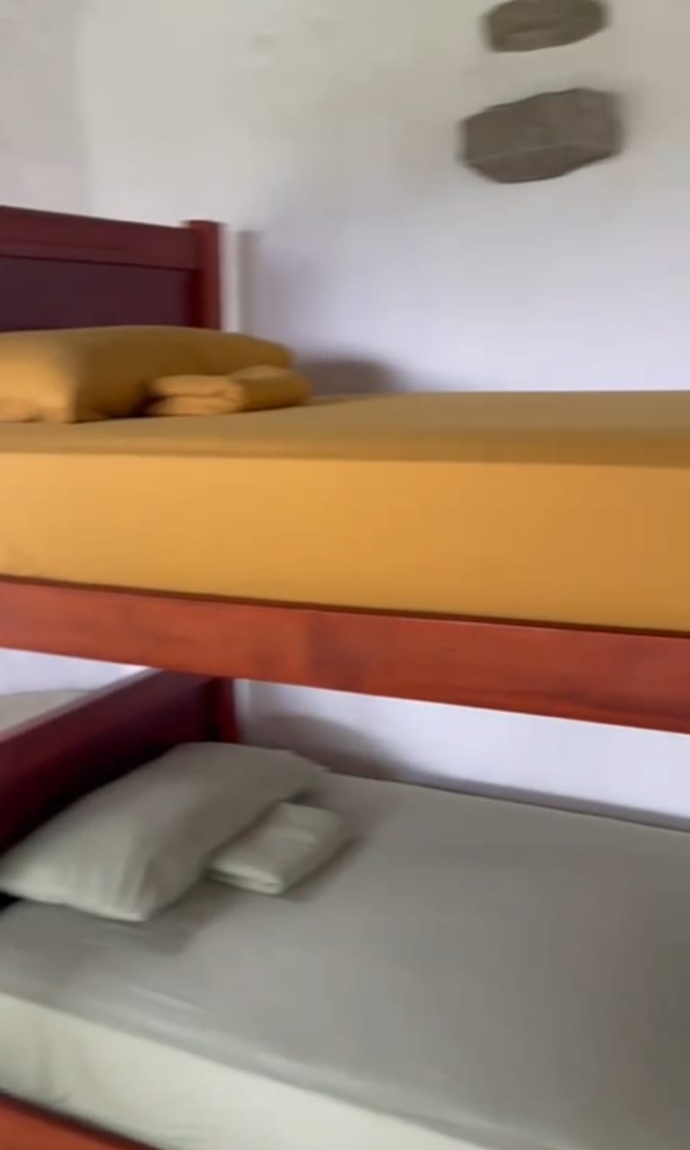 A quiet participant cabin at Teos — bunk bed framed by a teal door, soft yellow and grey bedding, arched window letting in garden light